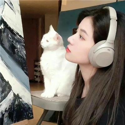 蓝色大丽花